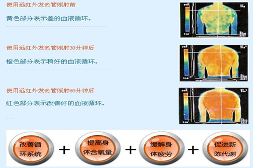 不老屋里的生物光(图1)